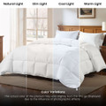 Hypoallergenic Luxury Goose Down-Alternative Comforter product image