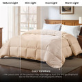 Hypoallergenic Luxury Goose Down-Alternative Comforter product image