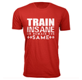 Men's 'Made in the Gym' and 'Train Insane' T-shirt product image