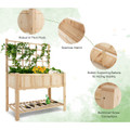 Raised Garden Bed with Trellis product image