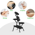 PU Leather Travel Massage Chair with Carrying Bag product image
