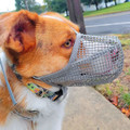 iMounTEK Mesh Dog Muzzle Mask product image