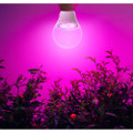 Touch of ECO® 9W Full-Spectrum Grow Lights (1- or 2-Pack) product image