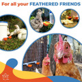 Automatic Chicken Water Cup Set of 5 | Chicken Water Feeder Suitable for Chickens, Duck, Goose, Turkey and Bunny | Poultry Water Feeder Kit product image