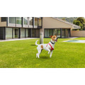 iMounTEK® Wireless Electric Fence for Dogs product image