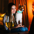 iMounTEK® USB-Rechargeable LED Dog Collar product image