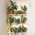 iMounTEK® Automatic Plant Waterer product image