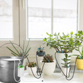 iMounTEK® Automatic Plant Waterer product image