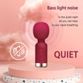 Mini Wand Personal Vibrator product image