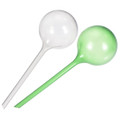 Self-Watering Garden Bulb (4-Pack) product image