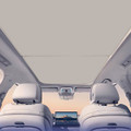 iMounTEK® 2-Piece Roof Sunshades for Tesla Model Y product image