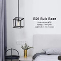 Light Cage Hanging Lighting Fixture with Adjustable Height product image