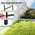 Steel Climbing Plant Garden Arch product image