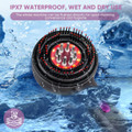 Hair Growth Oil Applicator and Electric Scalp Massager 2 in 1 IPX7 Waterproof Hair Brushes product image