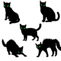 iMounTEK® Halloween Yard Decorations product image