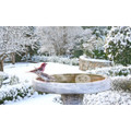 iMounTEK® 70W Automatic Bird Bath Heater product image