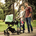Universal 2-in-1 Toddler Sit-or-Stand Stroller Board Attachment product image