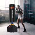 Freestanding Punching Bag Kickboxing Bag with Stand & Suction Cup Base product image