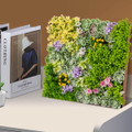 20" 3D Wall-Mounted, Framed Succulents (2-Pack) product image
