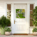 20" 3D Wall-Mounted, Framed Succulents (2-Pack) product image