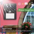 Solarek 20 LED Solar Light (2-Pack) product image