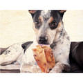 Jumbo Whole Natural Pig Ears Dog Treats product image