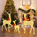 3-Pieces Lighted Family Deer Set  product image
