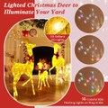 3-Pieces Lighted Family Deer Set  product image