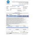 Dil Nutrition Lion's Mane or Ashwagandha Gummies product image