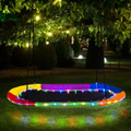 60-Inch Saucer Swing with LED Lights product image