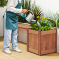 Teak Oil Finish Raised Planter Box with Bench (1 or 2-Pack) product image