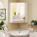 Corner Medicine Cabinet with Open Mirror Door & Adjustable Shelf product image