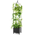 Indoor/Outdoor Raised Garden Bed with Trellis (1 or 2-Pack) product image