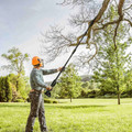 Tree Trimming Pole Saw with Extension Rods & 2 Rechargeable Batteries product image