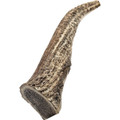 8-9" X-Large Whole Naturally-Shed Elk Antler Dog Treat product image
