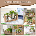 Desktop Plant Propagation Station product image