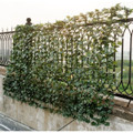 Artificial Ivy Leaf Decorative Privacy Screen product image