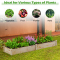 8' x 2' Wooden Raised Garden Bed (2 Types) product image
