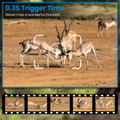 4G 4K 30FPS Solar Trail Camera product image