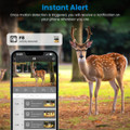 4G 4K 30FPS Solar Trail Camera product image