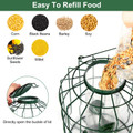 Squirrel-Proof Bird Feeder product image