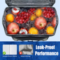 NPolar Cooler Backpack product image