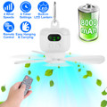 Camping Fan & LED Lantern product image