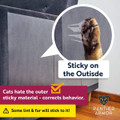 Panther Armor Cat Scratch Deterrent, Double Sided Tape (12 Count) product image