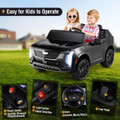 2-Seater Ride-On Truck with Remote Control product image