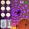 LED Spider Web with Remote Control product image