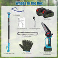 2-in-1 Pole Saw and Mini Chainsaw product image
