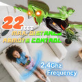 Remote Control Wall Climbing Lizard Toy product image