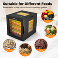 Stainless Steel Trays Dryer with 10 Presets and Built-In Thermostat product image