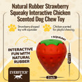 Everfetch Natural Rubber Scented Funky Dog Toys product image